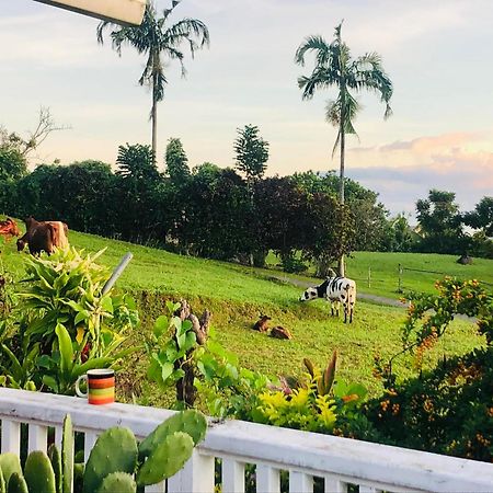 Bed and Breakfast Apaula Heights Lounge Apia Exterior foto